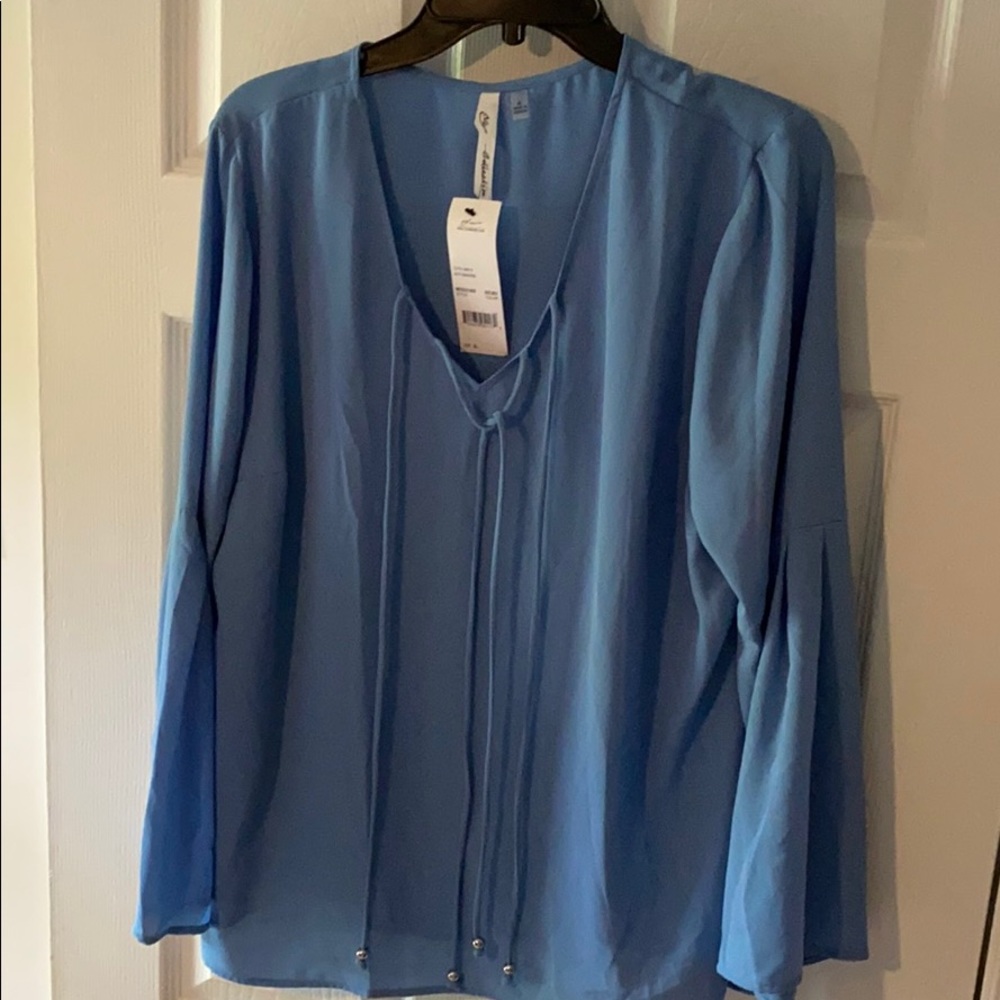 ☀️SALE 3/25☀️ BRAND NEW Blue Blouse